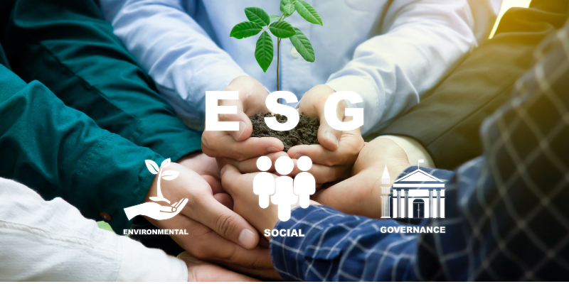 Hands holding a seedling symbolizing Environmental, Social, and Governance (ESG) principles.