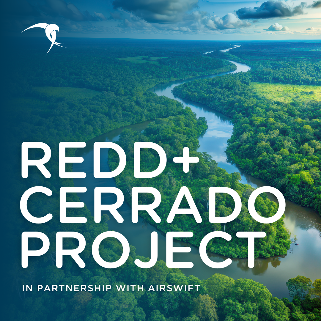 Aerial view of a lush green forest and winding river with the title "REDD+ Cerrado Project" and Airswift's logo.