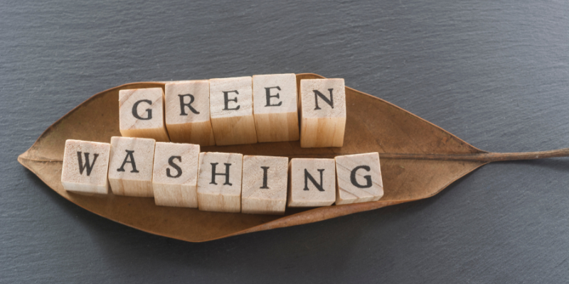 Wooden blocks spelling 'Greenwashing' placed on a dried leaf.