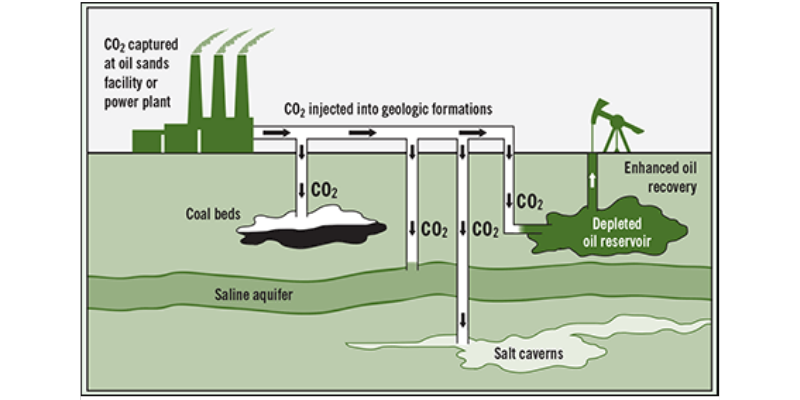 Capturing careers in carbon reduction