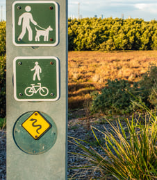 safety-wildlife-snake-signs-grass